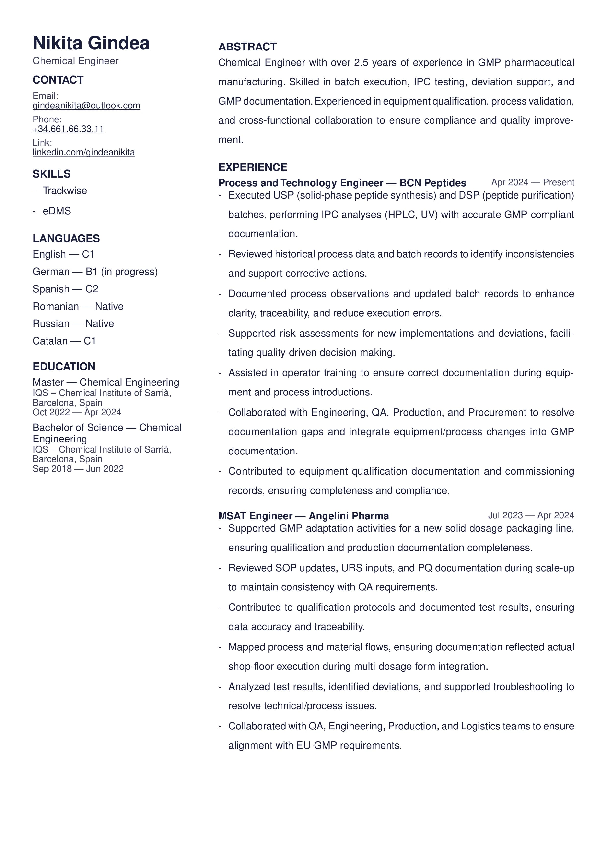 2 column CV template preview